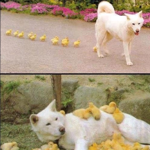 FOLLOW GAME ❗️❗️❗️💕 - Picture 1 of 1